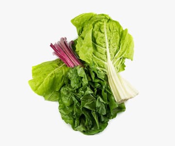 Chard