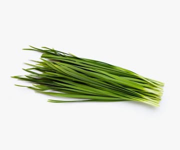 Leek